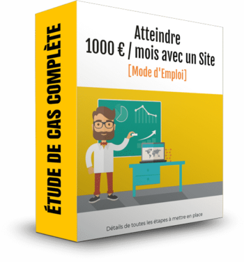 1000e Par Mois Avec Un Site L