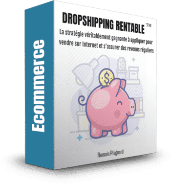 Dropshipping Rentable