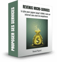 Revenus Micro Services L