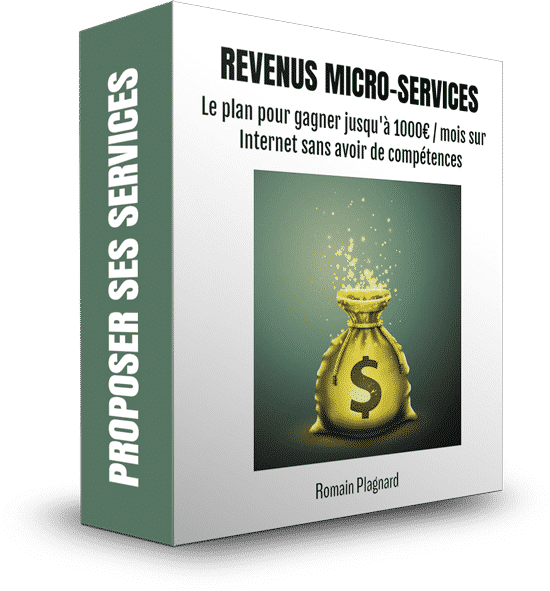 Revenus Micro Services L