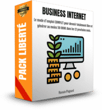 Business Internet 50000euros Par An